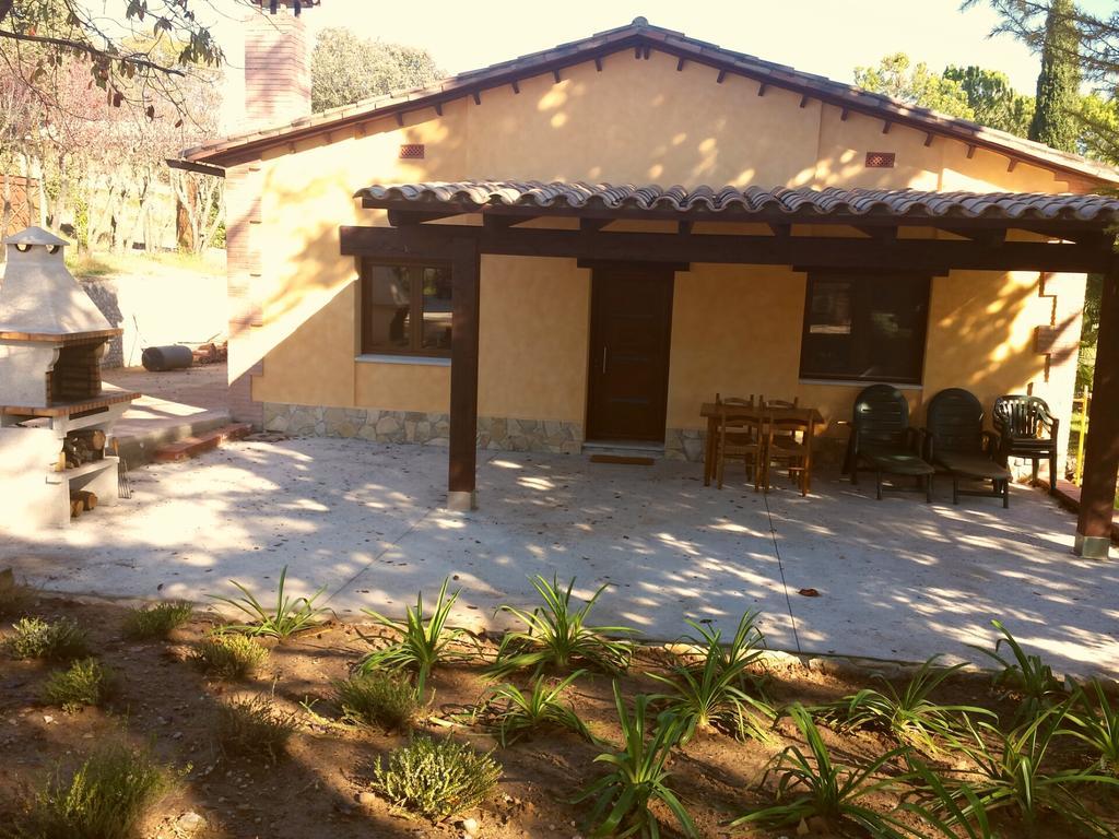 Casa Climent Pensionat Aviá Rum bild